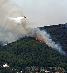 آتش سوزي دو هزار هكتار از جنگل هاي اسپانيا را نابود كرد